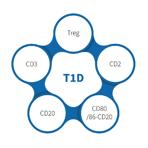 چگونه موش های NOD مکانیسم های دیابت خود ایمنی را روشن می کنند
