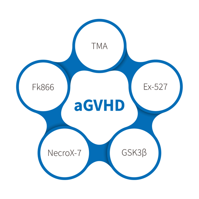 급성 이식편대숙주병