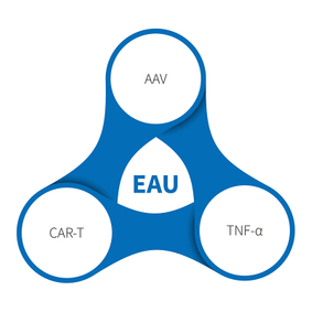 Uveitis (EAU-EIU) -NHP