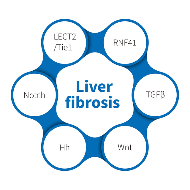 लिवर फाइब्रोसिस-एनएचपी