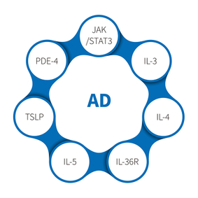Atopic Dermatitis-NHP