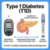 Model Diabetes Jenis 1 Tetikus (T1D).