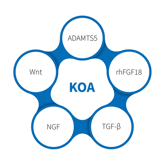 Osteoartrite do Joelho