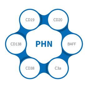 Bị viêm thận Heymann thụ động