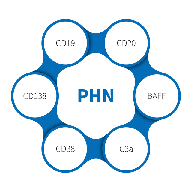 โรคไตอักเสบเฮย์มันน์แบบพาสซีฟ