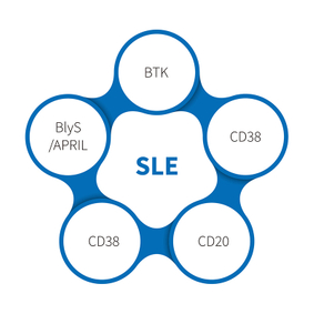 Lupus Erythematosus Systemic-NHP