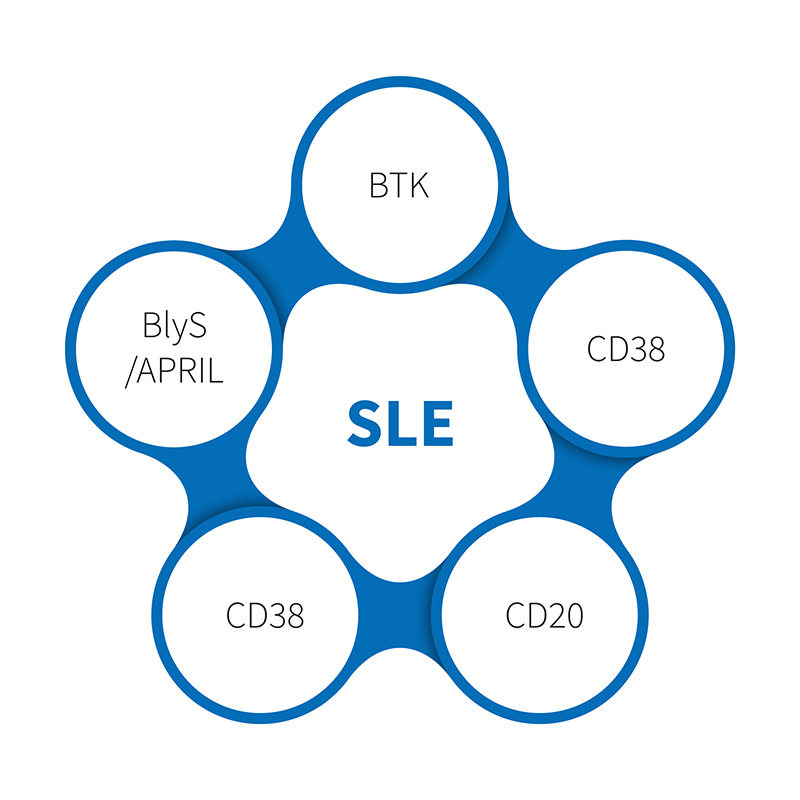 Vështrime mbi Rolin e dsDNA-së në studimet e modelit SLE