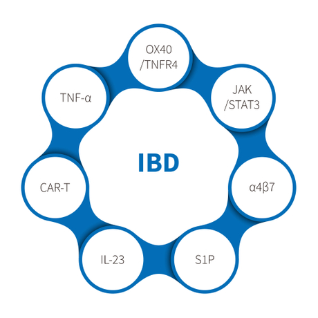 三级分类_የሚያቃጥል የአንጀት በሽታ.jpg