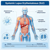 Tauira kiore Systemic Lupus Erythematosus (SLE).