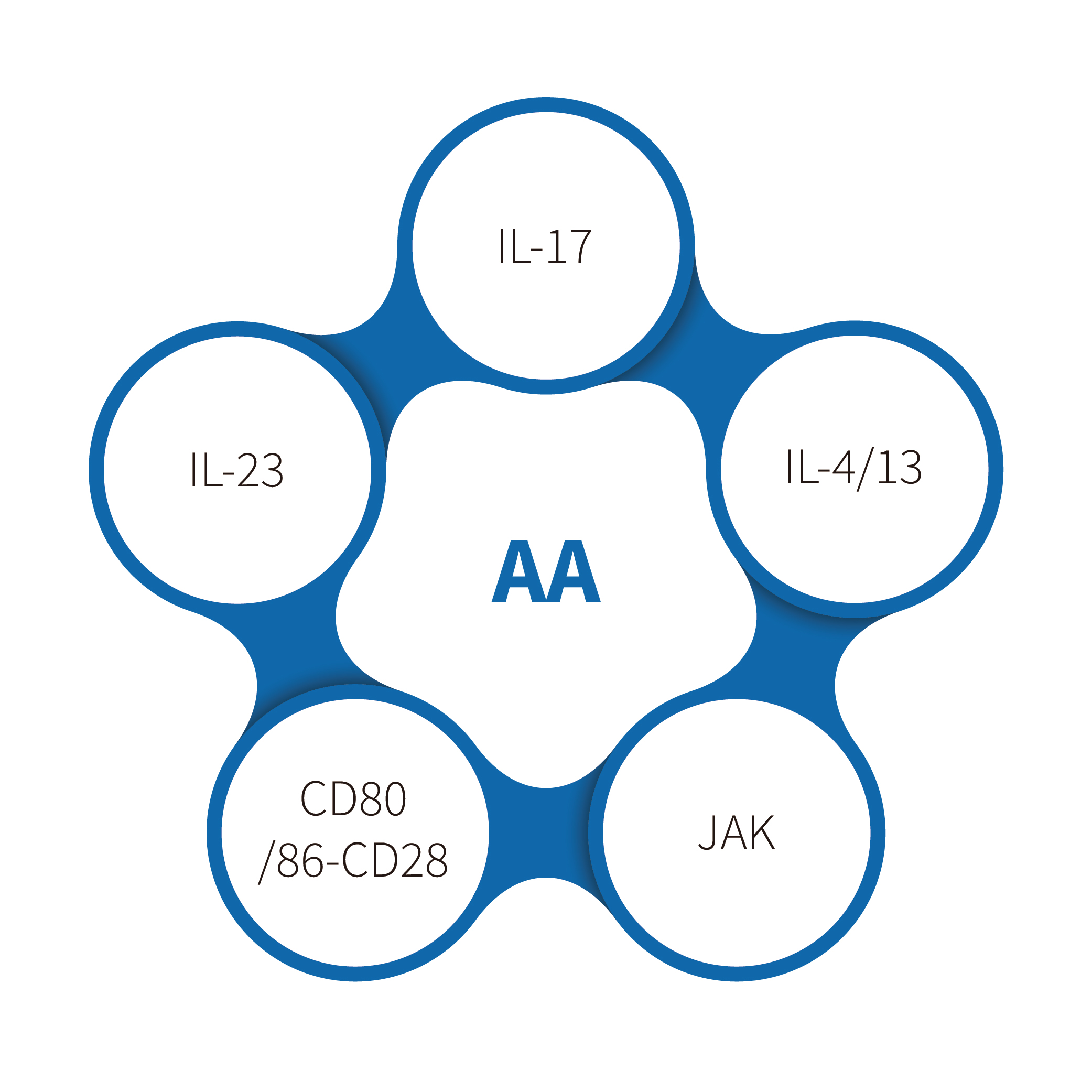 TNBS-Indused မော်ဒယ် - Jak Inhibitor ဖွံ့ဖြိုးတိုးတက်မှုအတွက်အဓိကကိရိယာတစ်ခု