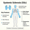 Mouse Systemic Sclerosis (SSc) ပုံစံများ