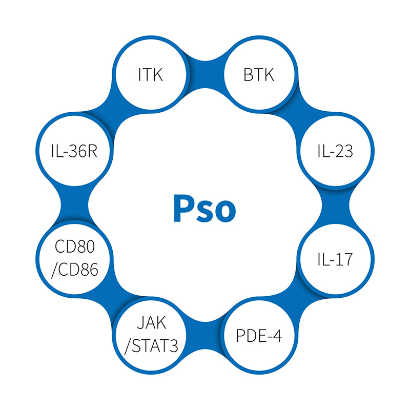 Что такое модель PSO?