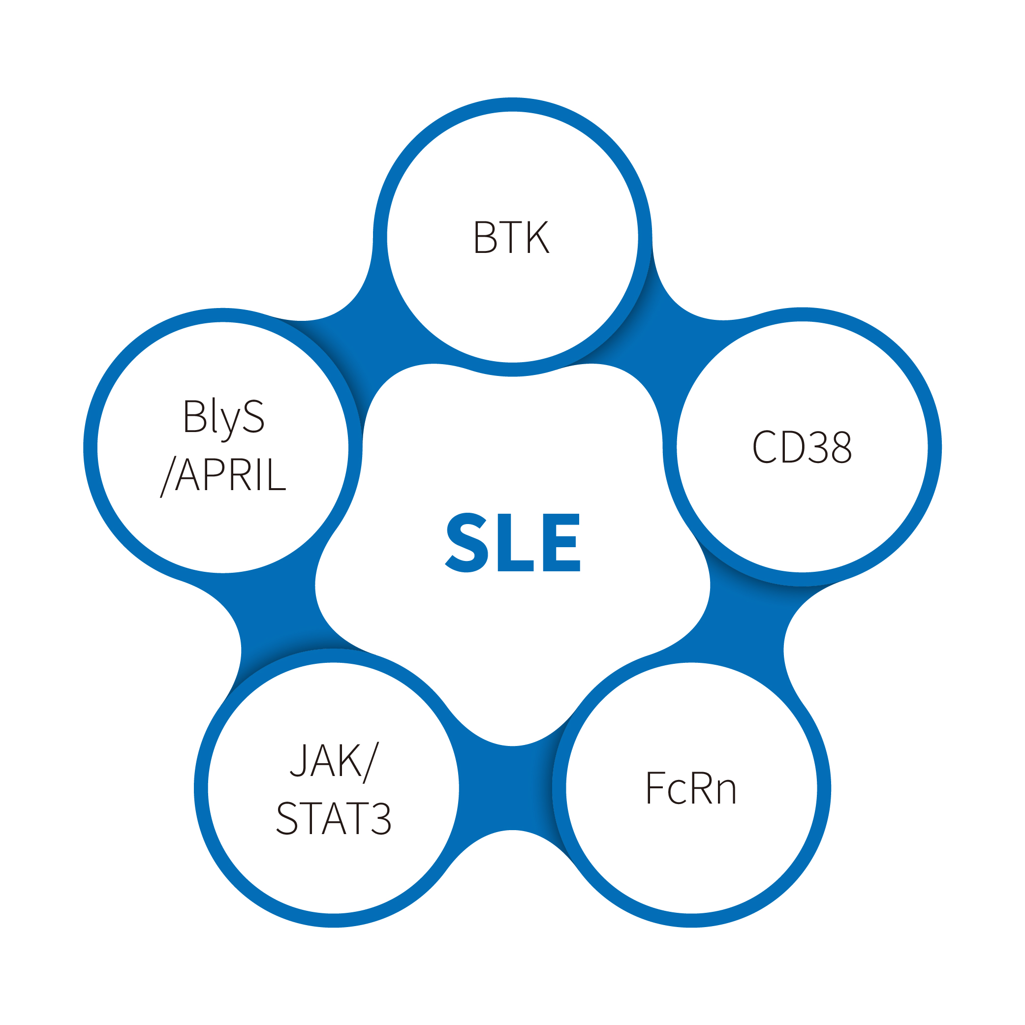 Как модель СКВ влияет на будущие методы лечения волчанки