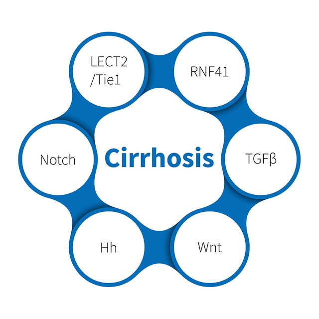 Cirrhosis-NHP
