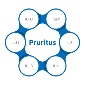 Pruritus 